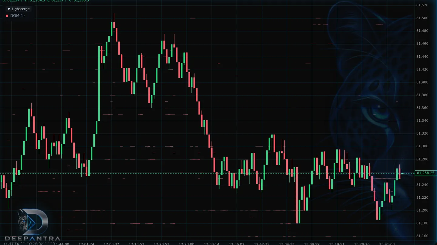 ProChart DOM Lines overlay showing historical liquidity levels on a BTCUSDT range chart