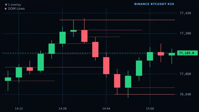 ProChart DOM Lines overlay showing historical liquidity levels on BTCUSDT